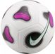 Футзальний м'яч Nike Futsal Pro FIFA FJ5549-100, розмір 4 FJ5549-100 фото 1